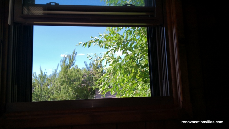 Window view